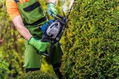 gardener-topiary-job