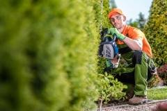 gardener-with-hedge-trimmer