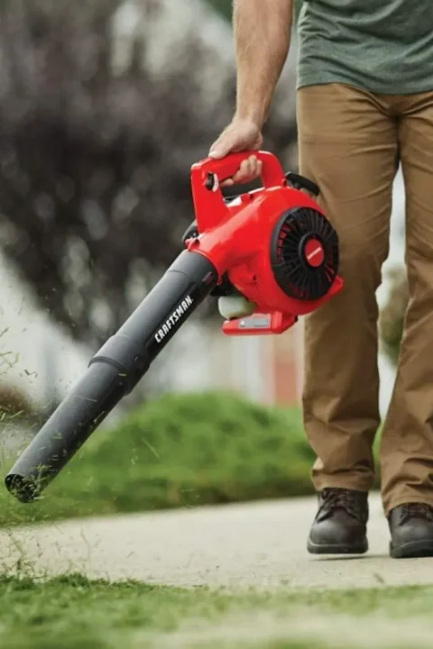 Best-Leaf-Blowers